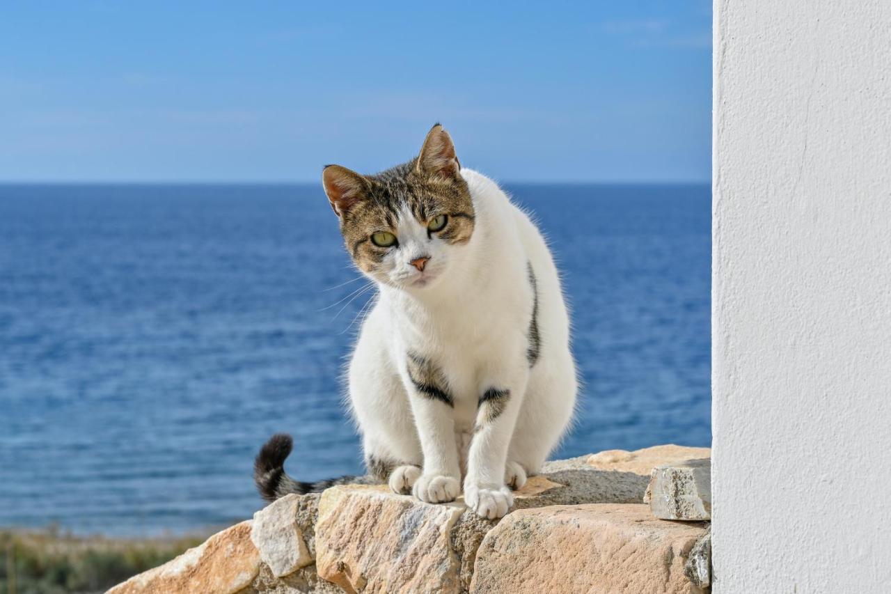 Blue Bliss Διαμέρισμα Αμπράμι Εξωτερικό φωτογραφία